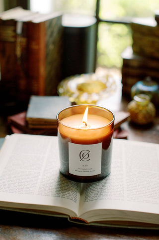 S. 04 The Gold Bug Soy Candle | Seasonal - Magnolia & Pine
