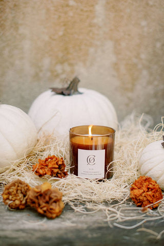 S. 06 Palmetto Pumpkin Soy Candle - Magnolia & Pine