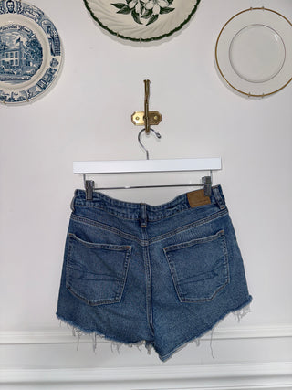 AE Distressed Denim Shorts