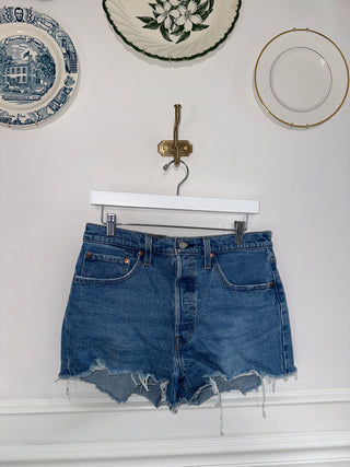 Levi’s Light Wash Shorts