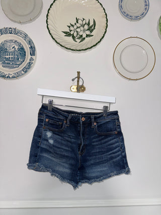 AE Denim Shorts